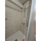 MODIFICATION D'UNE DOUCHE + PORTE PIVOTANTE à Rives